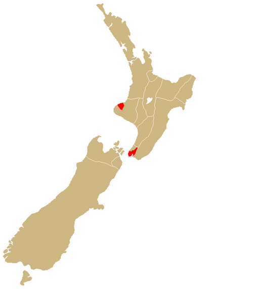 Te Ātiawa